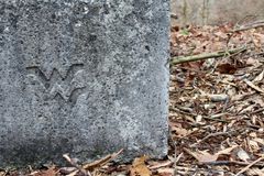Close-up of flying WV casted in cement bench