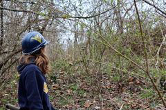 Volunteer with hardhat on gazing up into woods